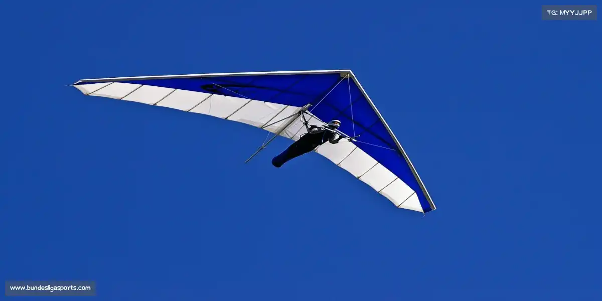 德甲联赛官网——🏓⚡速度与技巧，一拍即合！